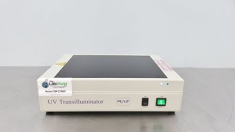 UVP UV Transilluminator Video ID 21885