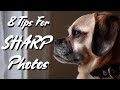8 Tips For Taking SHARP Photos! (2019)
