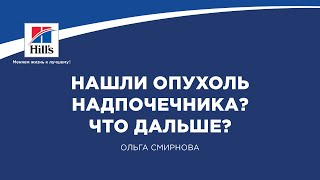 видео Аденома левого, правого надпочечника: симптомы, лечение