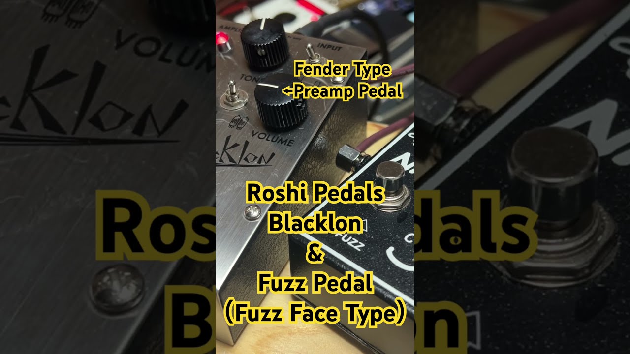 Roshi Pedals Blacklon フェンダーブラックフェイス RoShi Pedals Blacklon【ブラックフェイス系オーバードライブ