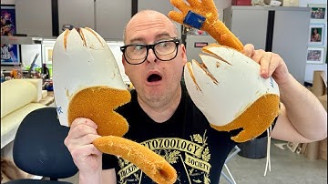 How to Make an Old Puppet New Again!