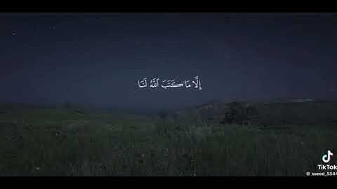 القرآن الكريم هو نور القلب وراحة النفس، كلام الله الذي يهدي للحق، ويمنح السكينة لكل من تمسك به🥹