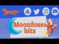 MOON FOXES BITES IS HUGE AND PASSIVE INCOME REWARDS PROJECT 2022 || JOIN AND GET GIVEAWAYS.