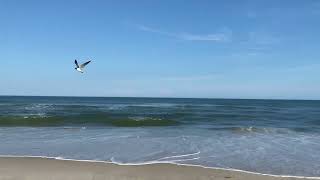 Two minutes of waves and sand in 4K Assateague Beach MD July 4, 2023