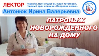 Патронаж новорожденного. Как подмывать мальчика. Включенный отец)))