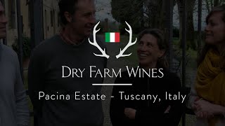 Download Lagu Behind the Bottle: Pacina, Italy MP3 Download Lagu Behind the Bottle: Pacina, Italy MP3