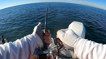 Jigging for Tautog (aka Blackfish) - When to set the hook?