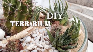 DIY Desert Terrarium | How to Make Your Own Terrarium for Beginners