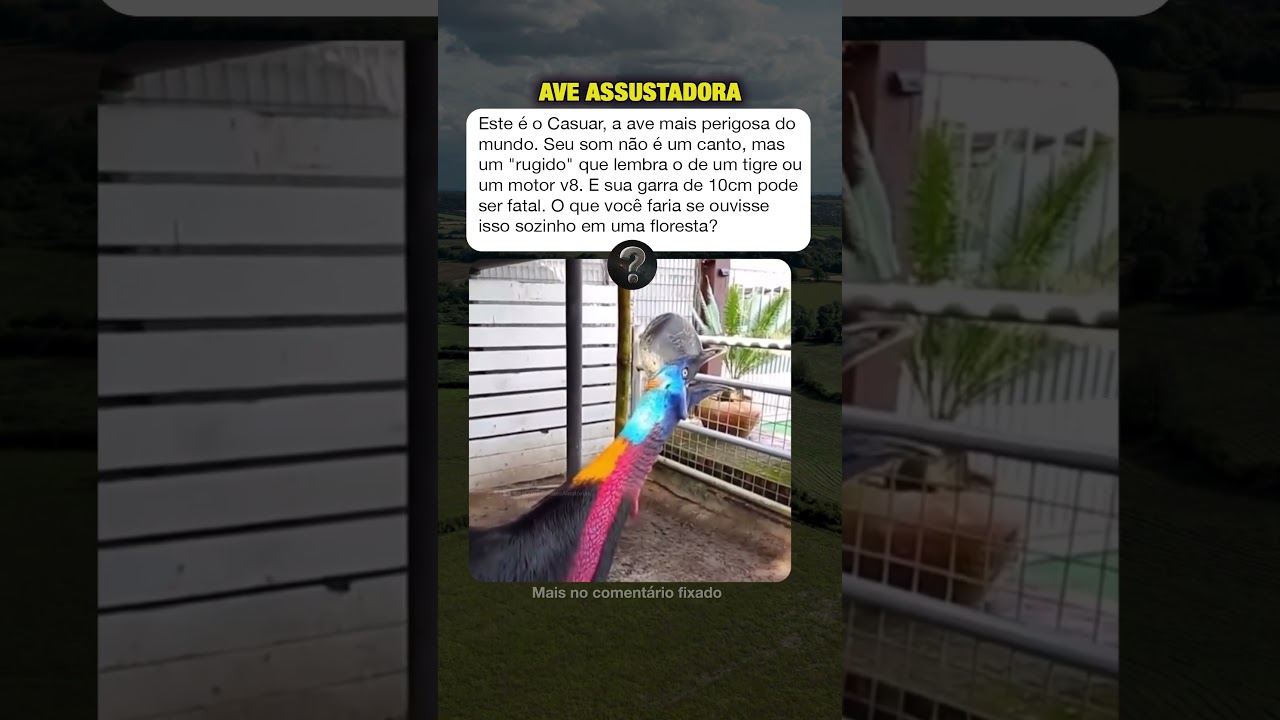 A Ave Mais Perigosa do Mundo 