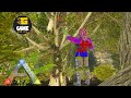 How To Find Apple In Ark Caballus Ep35