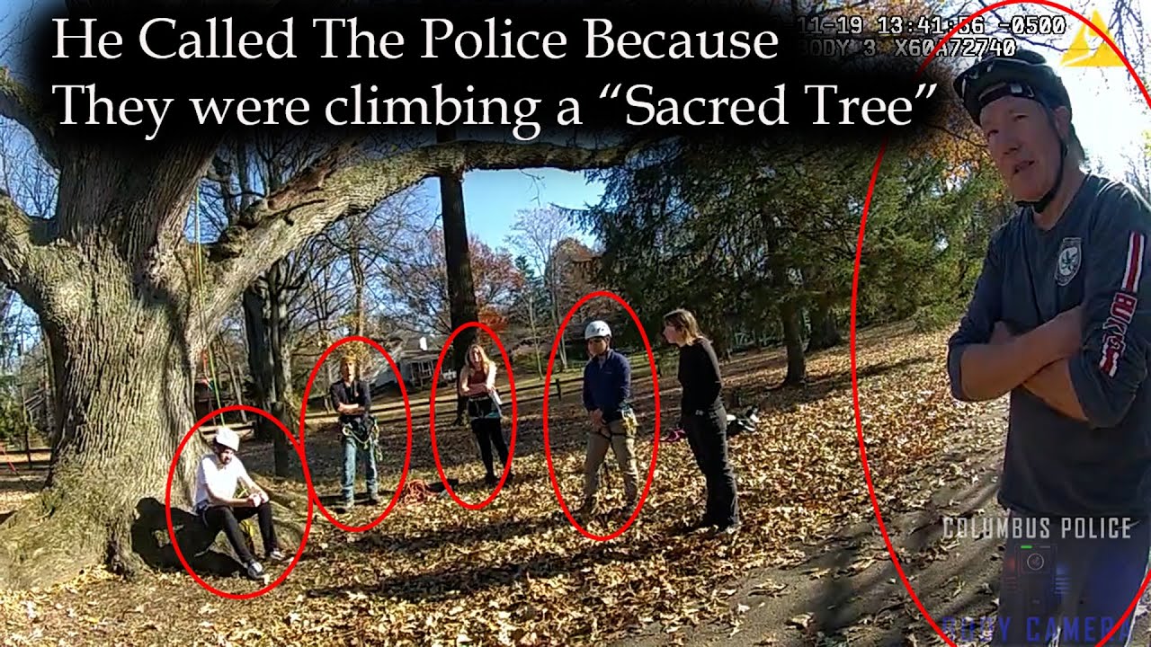 Man Demands a Report for People Climbing a "Sacred Tree"