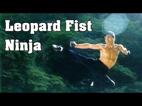 wu-tang-collection---the-leopard-fist-ninja
