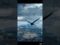 Arctic Tern: The Longest Journey on EarthNatureStories#CinematicStory#WildlifeCinematic