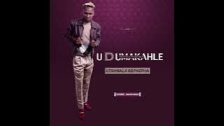 UDumakahle Zikhona izilingo