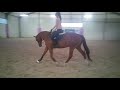 Help your horse relax and slow down in the canter