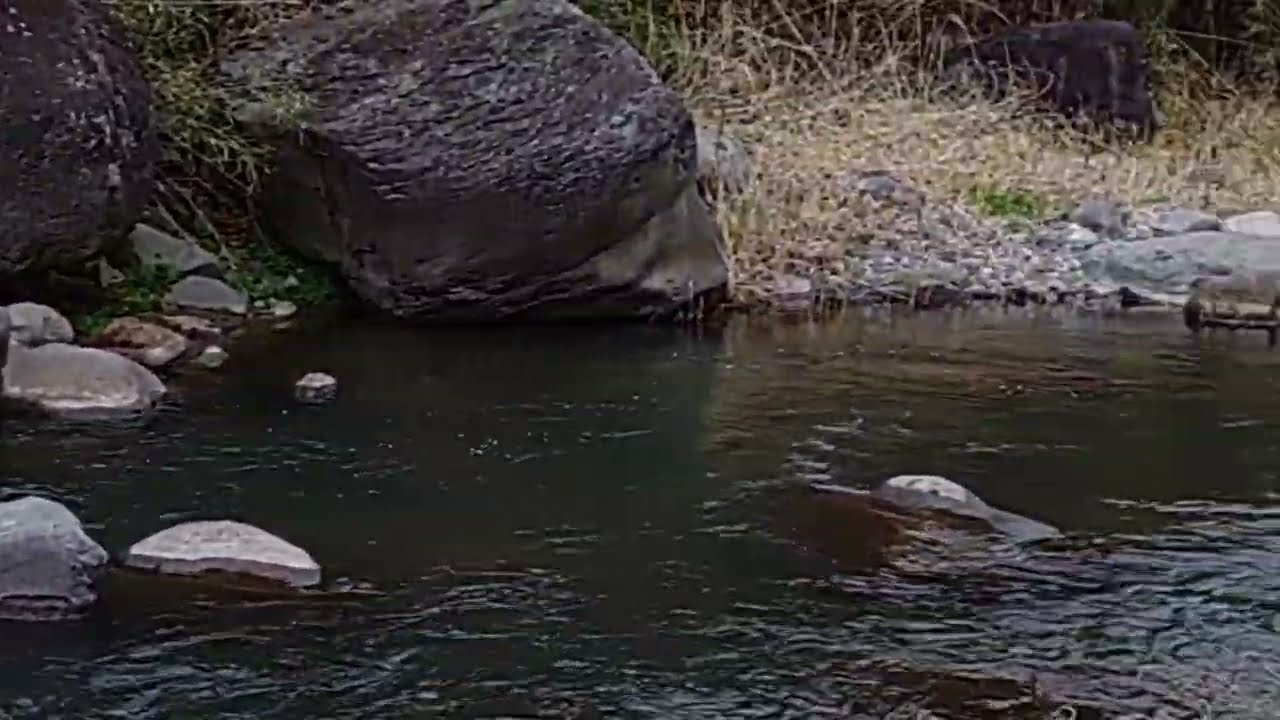 渓流釣り2026.3.3後編　ラスボスの滝、現る