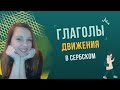 Глаголы движения в сербском