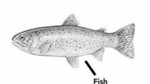 trying to make a tower defense game with gnome code code