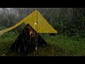 A TORRENTIAL DOWNPOUR SOLO CAMPING IN HEAVY RAIN AND THUNDER RELAXING CAMPING RAIN A TORRENTIAL DOWNPOUR SOLO CAMPING IN HEAVY RAIN AND THUNDER RELAXING CAMPING RAIN
