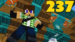 Minecraft ITA S6 E237