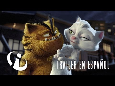 bad-cat-|-trailer-oficial-en-español