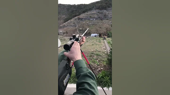 Charging Cape Buffalo Practice