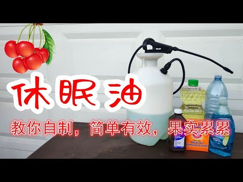 如何消灭果树害虫：教你自制休眠油！預防果樹害蟲有妙招【种菜养花】