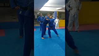 Judo avec Aneeman Soueidan