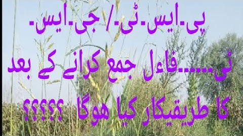 PST/JEST/NEXT  AFTER  FILES   PROCESS .