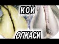 КОЙНИ #ОПКАСИДА ЖУДАХАМ #МАЗЗАЛИ ТАОМ