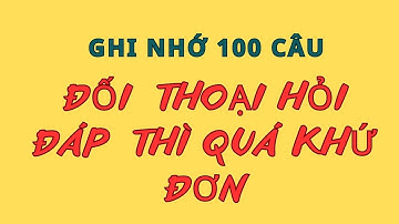 100 Câu Luyện Tập Hỏi Mọi Thứ Với Thì Quá Khứ Đơn| Những câu tiếng Anh thông dụng đi đâu cũng nói