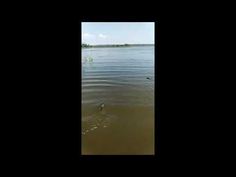 20200807 - Это все солитер