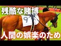 【殺処分】馬をギャンブルに使う競馬の実情、競馬からひっそりと姿を消し行方不明になる馬たち【使い捨て】