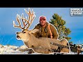 BUCK OF A LIFETIME!? 200” Mule Deer