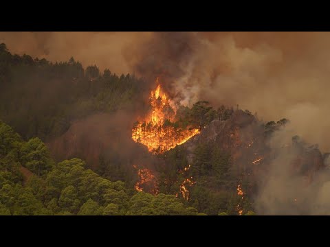 Brandenburg: Waldbrand bei Jüterbog breitet sich aus