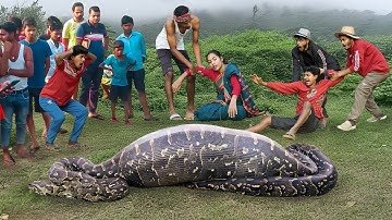 Anaconda Snake Attack Boys In Forest | An Anaconda Snake Attack Brief Story 24