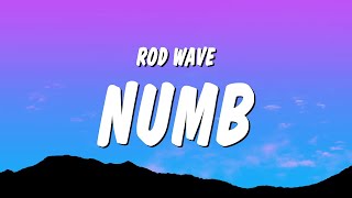 Rod Wave - Numb (Lyrics)