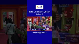 Rathika Subhashree damini re entry? Telugu bigg boss #bb7 #nagarjuna Net Worth