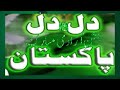 DIL Dil Pkistan | Heart Touching Mili Nagma |