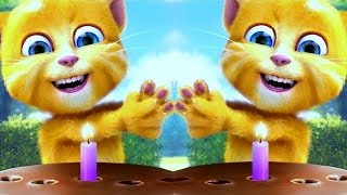 Talking Ginger funny Cat Video ?️???????????