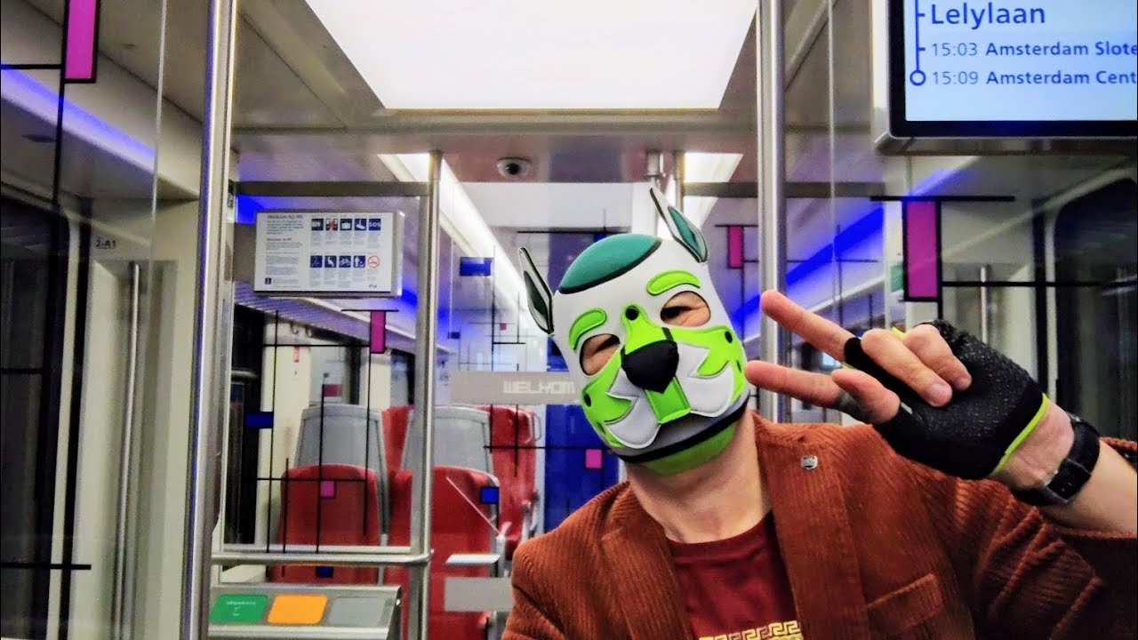 Boring slideshow of pup on Public Transport. Trains, stations and light rail (trams).