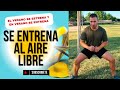 El verano se estrena... ¡¡Y en verano se entrena!! 🌴🪇🌴🪇🌴🪇