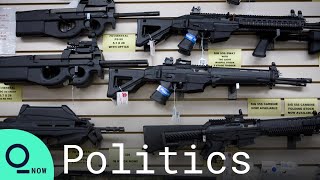 ‘Red Flag’ Laws May Offer Hope in US Senate Gun Talks
