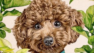 Grooming dog embroidery ASMR scratchy sounds / READ DESCRIPTION