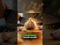 Turmeric and Garlic: Nature's Antibiotics for a Healthy Life! #cancer #nutrition #healthylifestyle