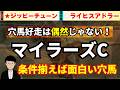 【マイラーズC2026】先週動画推奨馬◎ライヒスアドラー激走！マイラーズカップで条件次第で一発期待の穴馬紹介！