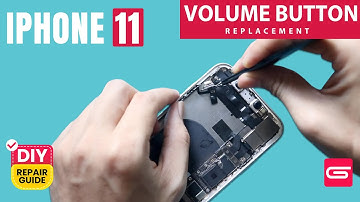 iPhone 11 Volume & Mute Button Flex Replacement