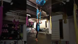 Download 초보플라잉요가 강사님 꿀 응용시퀀스!!flyingyoga.aerialyoga.온국민 플라잉요가가 대중화되는 그날까지 홧팅!! Video MP3 초보플라잉요가 강사님 꿀 응용시퀀스!!flyingyoga.aerialyoga.온국민 플라잉요가가 대중화되는 그날까지 홧팅!!