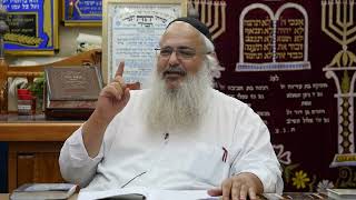 האם כהנים יכולים להיכנס לקברים של צדיקים ומהו הזייגר שהדהים את הרב לוינשטיין   פרשת אמור תשפ''ג