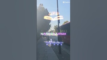 تلاوة للشيخ سعد الغامدي ماتيسر من سورة التحريم